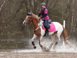 2016 TREC Træning 16 april